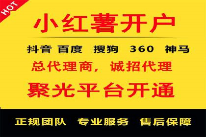 某电商平台的成功案例：信息流优化师的策略与成果